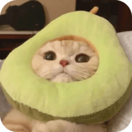 色猫直播APP应用